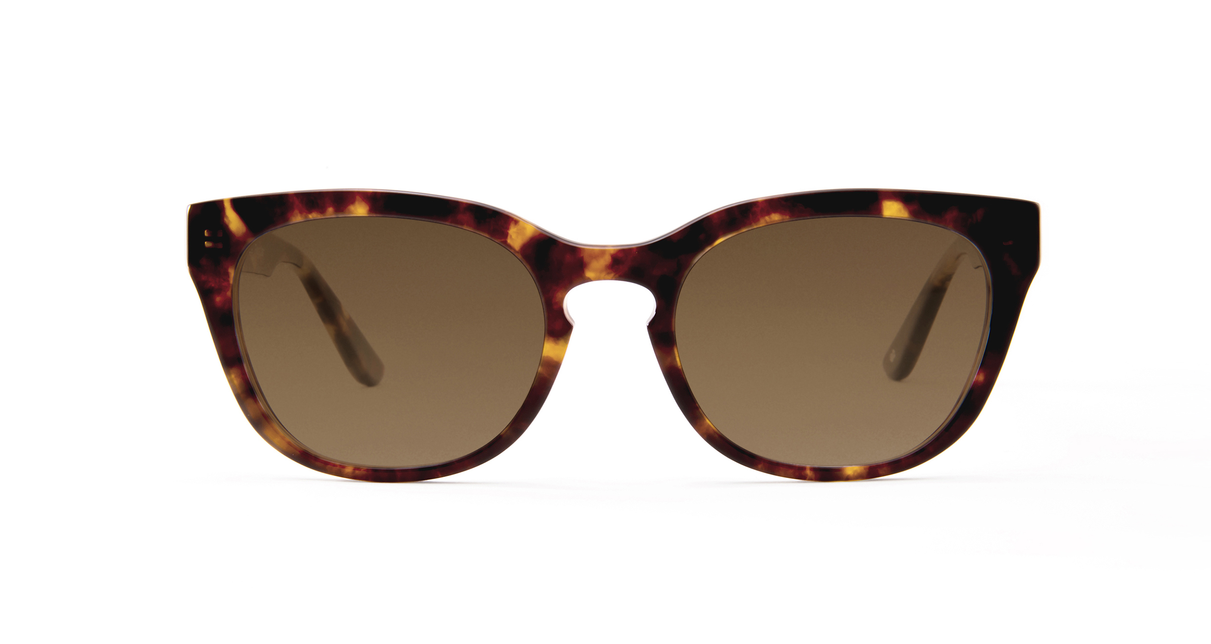 FRIZ QUADRATA Tortoise (Sunglasses)