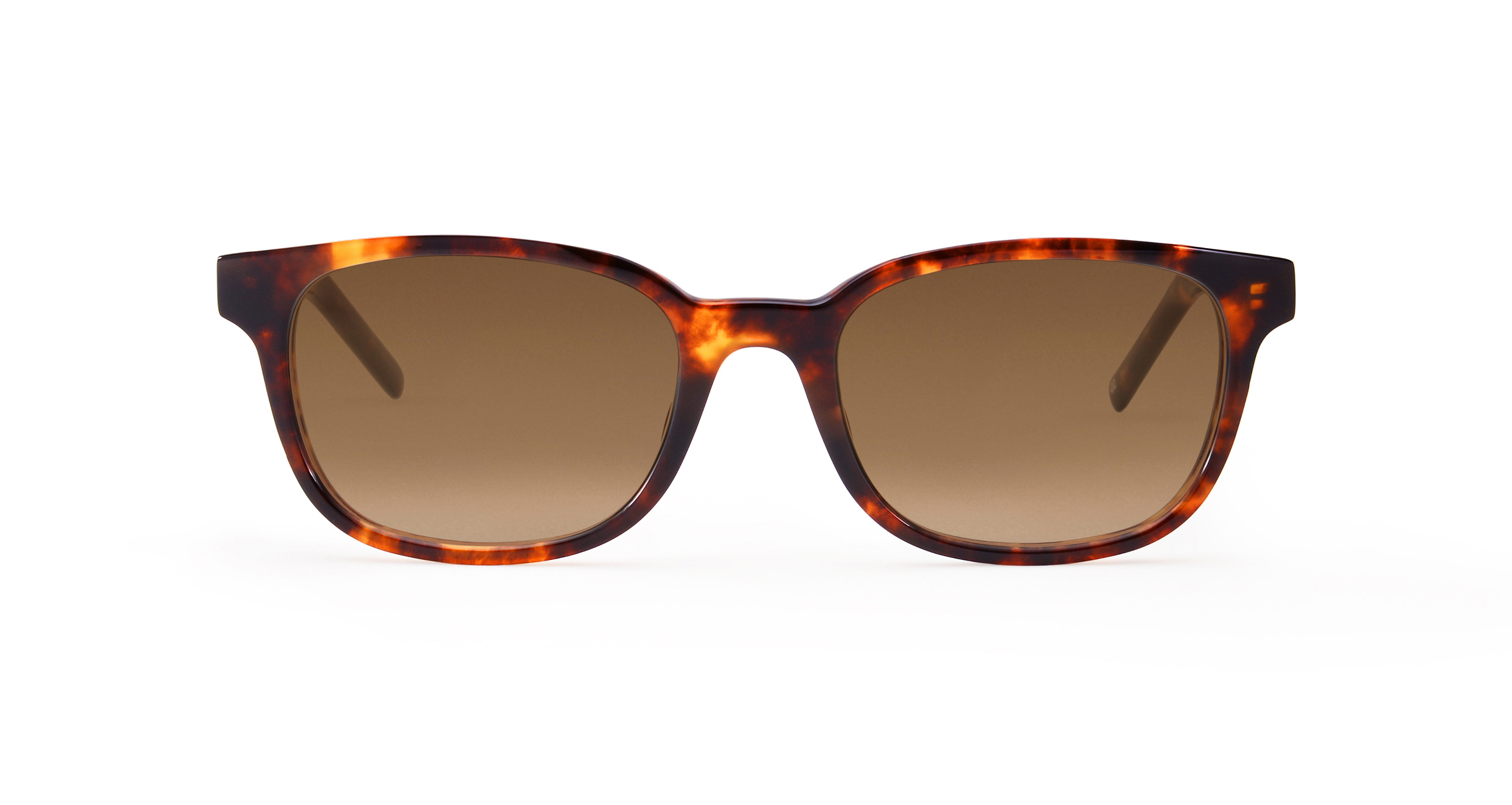 UNIVERS Tortoise (Sunglasses)